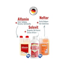 3lü Süper Set Selevit Üreme-neftor Hırıltı-alfamin 500ml