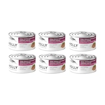 Molly Ton Ve Karidesli Et Suyu İçinde Yetişkin Kedi Konservesi 85 Gr. X 6 Adet