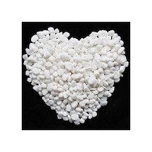 Beyaz Dolomit Taş 15 Kg 1,5-2 Cm Dere Çakıl Taşı Bahçe Süs Saksı Teraryum Akvaryum