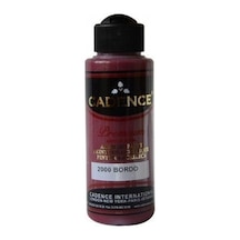 Premium Akrilik Boya 2000 Bordo 120Ml