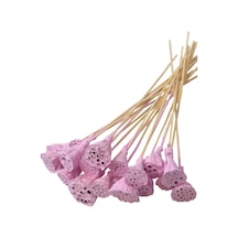 20 Adet Bambu Şiş Saplı Mini Lotus Çiçeği Plant Lila Gerçek Lotus