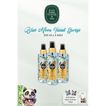 3 Adet Vücut Spreyi Blue 250 Ml Ve Rosıe Pamuk 60'lı