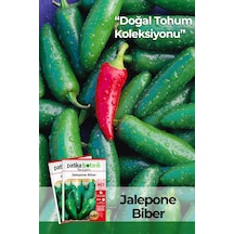 150 Adet Yerli Ata Jalapeno Biber Tohumu