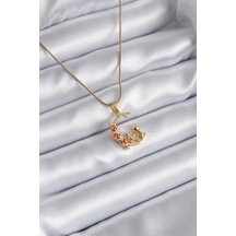 Mey İthalat 316l Çelik Gold Renk Hilal Kedi Model Zirkon Taşlı Detay Kadın Kolye - Özel Seri Meyeb659fdbe6fd3bff59190ecf75 altın
