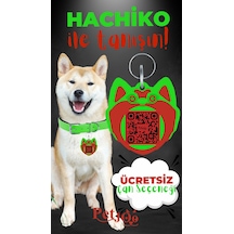 Petjoo 19.Hachiko Kırmızı-Yeşil Qr'lı Köpek Künyesi