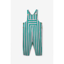 Mint Yeşili
