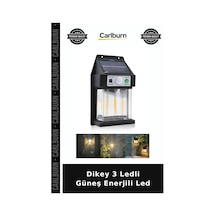 Özel Üretim Bahçe Aydınlatma Solar Dış Mekan Dekoratif Dikey 3 Ledli Güneş Enerjili Led Diğer