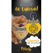 Petjoo 13.Bert Sarı-Gri Qr'lı Köpek Künyesi