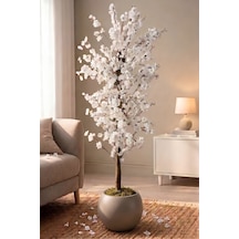 Cihan Çiçekçilik Yapay Beyaz Bahar Dalı Ağacı 180cm- 27x33 Cm Küre Saksılı Diğer