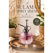 Perotti 15729 350 Ml Cam Yağlık Sirkelik Yağdanlık Şişesi Mor