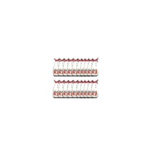 20'li Set