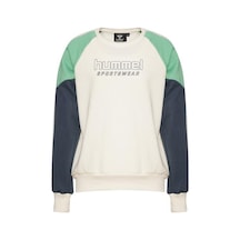 Hummel Walkes Erkek Çocuk Bisiklet Yaka Sweatshirt Çok Renkli