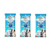 Wash Gloves Kuru Yıkama Ve Bakım Kesesi 8 Li X 3 Paket