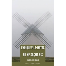 Bu Ne Saçma Sis