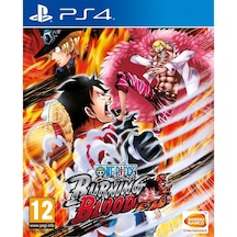 One Piece Burning Blood PS4 Oyun