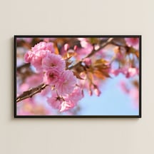 Pembe Sakura Çiçekleri Ve Bahar Dalları Temalı Retro Pvc Tablo Pvc Tablo