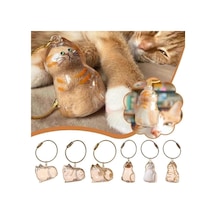 Kedi Şeffaf Anı Anahtarlığı - Kedi Figürlü - Karışık Model