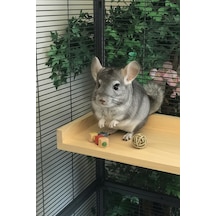 Çam Ahşap Platform 20 Cm X 40 Cm Kuş/degu/chinchilla Tüneği