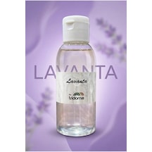 Lavanta