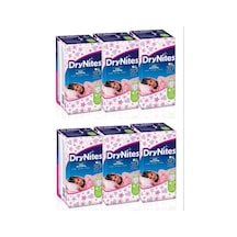 Drynites Kız 4-7 Yaş (17-30Kg) Small Gece Kültu 60 Adet (6Pk*10)
