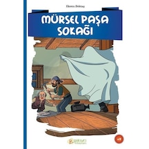 Mürsel Paşa Sokağı / Ekrem Bektaş