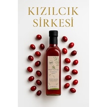 Kızılcık Sirkesi 500 Ml %100 Doğal Fermante