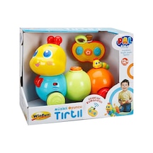 Müzikli Oyuncu Tırtıl 5 Adet