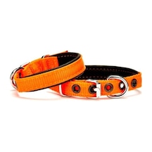 Softlu Köpek Boyun Tasması 1,5 Cm X 30 Cm Tcu Çok Renkli