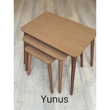 Diğer