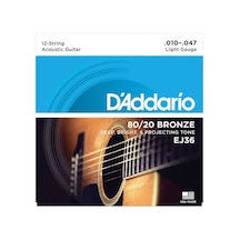 Ej36 Akustik Tel Set 12 String Light .010