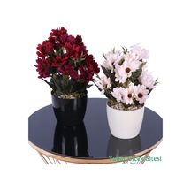 Yapay Çiçek Sitesi Plastik Saksıda Yapay Katmerli Papatya Tanzimi 2'li Set 25 Cm Bordo - Krem