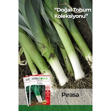 800 Adet Yerli Ata İnegöl Pırasa Tohumu