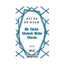 Bir Türkü Söylenir Bizim Ellerde - Ali Ak - Gülnar Yayınları