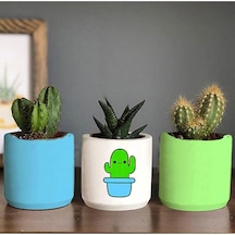 Mavi Saksılı Kaktüs Desenli Saksı Üçlü Set- Küçük Boy Sukulent Saksı Hediyelik