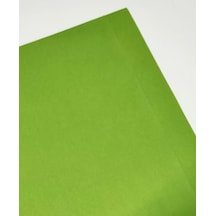 Hannemühle Creative 160 G Dokulu Fon Kartonu 50x65 CM Zeytin Yeşili