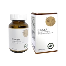 Anti  ( Zencefil Ekstresi ) 60 Kapsül x 2 Adet