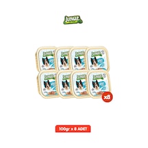 8 Adet Tahılsız Somonlu Köpek Yaş Maması Seti - 100gr X 8 Pate Alucup