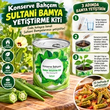Diğer