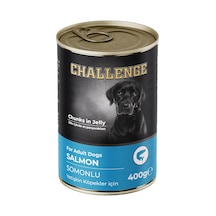 Challenge Konserve Köpek Somonlu Yetişkin 400 Gr