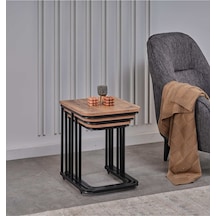 Atlantik Çam - Siyah