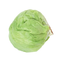 Marul Tohumu Iceberg 3 GRam N112726