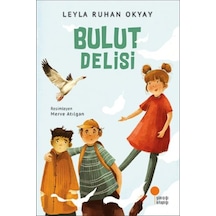 Bulut Delisi - Qhdh-621169