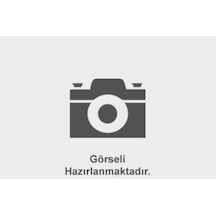0204848614 77365230 Fren Ana Merkezı Doblo 09 Abslı 23.81mm