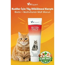 Tr Kediler Için Biotin Paste Tüy Dökülme Döküm Tüy Sağlığı Malt Macunu 100 Gr