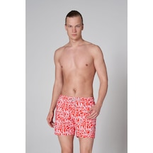 Çok Renkli