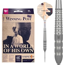 Target Barney25 % 90 Tungsten Sp Çelik Uçlu Dart Oku