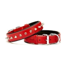 Doggie Comfort Deri Çivili Köpek Boyun Tasması Medium Kırmızı 3x4
