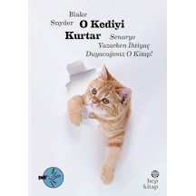 O Kediyi Kurtar Senaryo Yazarken İhtiyaç Duyacağınız O Kitap