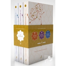 Hz.Muhammed Seti-3 Kitap Takım - Şefaettin Severcan - Fecr Yayınları