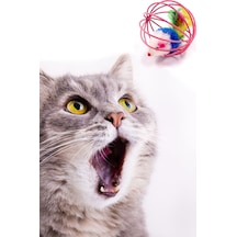 Renkli Metal Kafesli Peluş Fareli Kedi Köpek Oyuncağı Oyun Topu